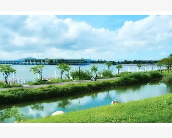 MT4电脑版瘦身技巧降低资源占用提升流畅度_实际运行中的优化建议与常见误区
