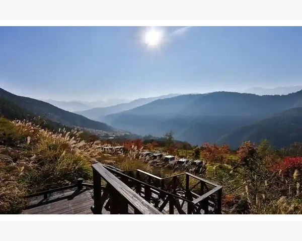 MT4行情截图保存技巧让交易证据永不丢失