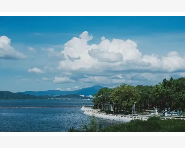 MT4账户权益达标自动锁仓设置全教程