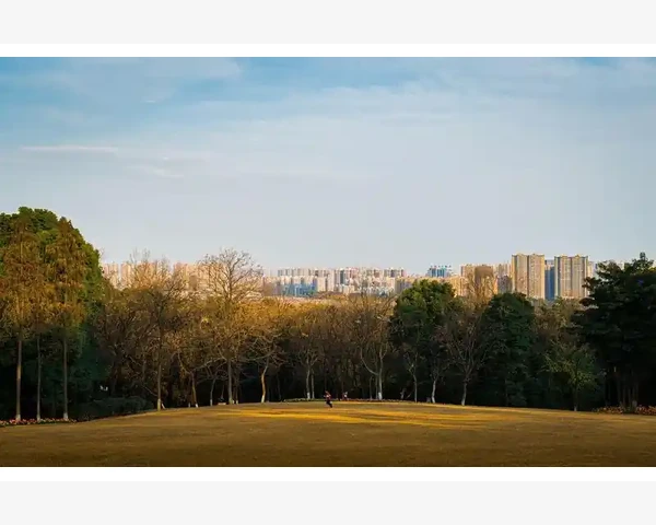 数据驱动决策让上海B2B平台更聪明_B2B电商平台名称盘点帮你选对生意伙伴
