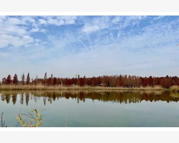 纸业批发商家B2B店铺运营要点_规范交易流程