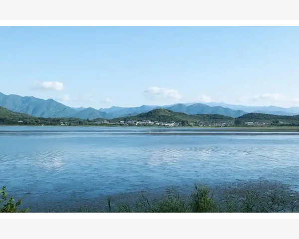 MT4电脑版订单执行时间查询方法详解