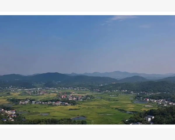 电子回单下载与财务对账方法_B2B企业如何靠商业模式持续盈利
