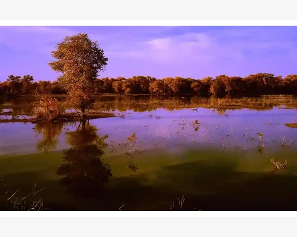 品牌辨识度与市场区隔需要平衡_免费B2B商务平台如何助力小企业突围