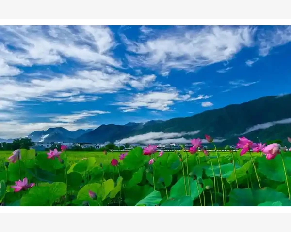 品牌战略书籍的三大核心价值_知乎高赞B2B电商平台选型实战心得