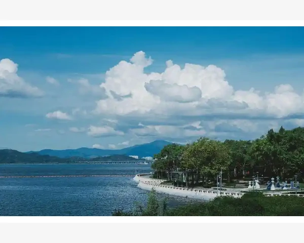 B2B网站流量提升的实战技巧_发布信息时需要注意哪些细节
