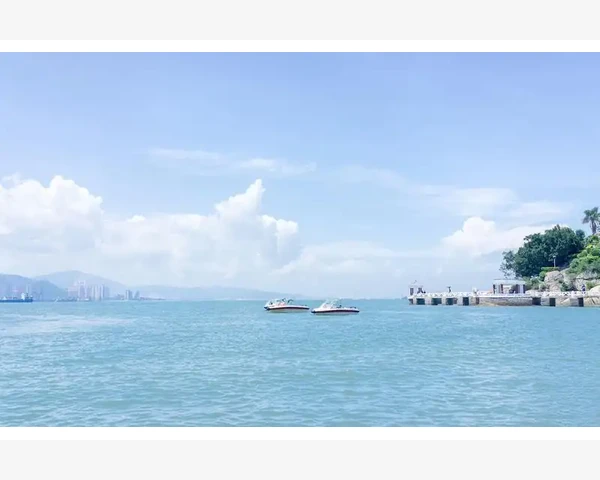B2B对接中的功能设计与服务优化要点_冻品B2B平台如何让冷链生意不再难做