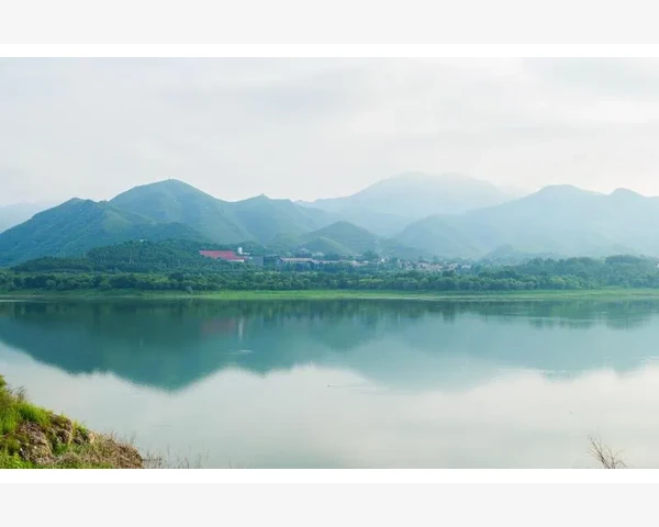 MT4批量撤销挂单的高效操作流程详解_MT4信号订阅的结算货币基础规则